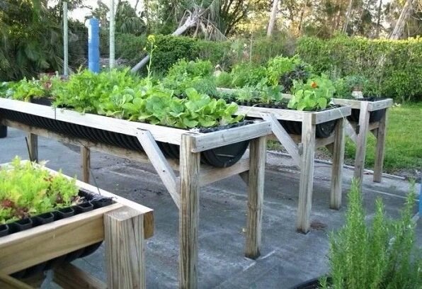 ttps://www.pinterest.se/pin/88664686397333802/?nic=1a&sender=599471537808116665