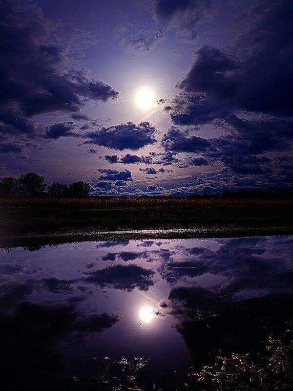 Яндекс. Картинки