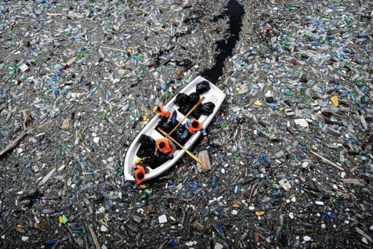 Мусорный континент в Тихом океане 