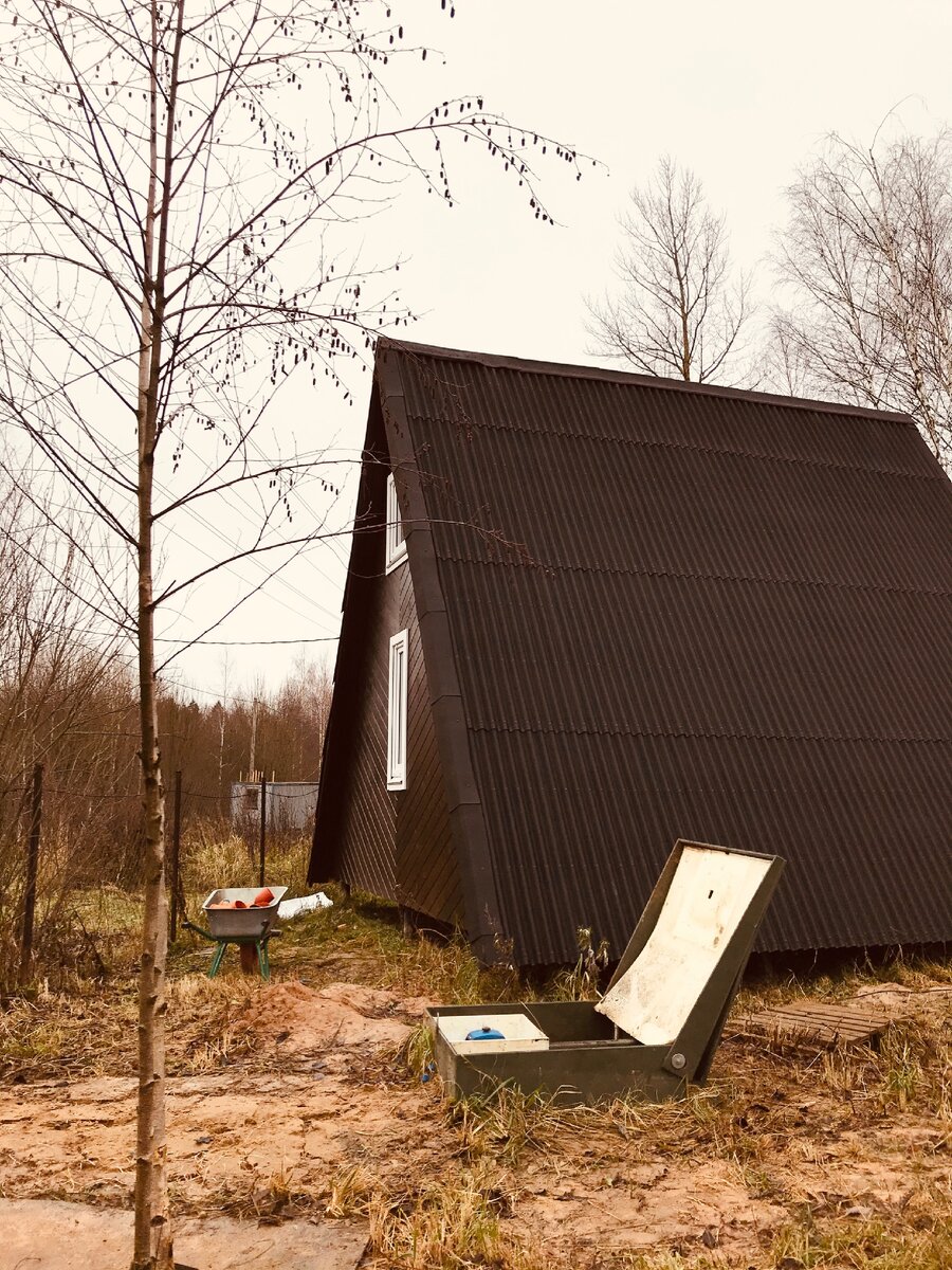 Септик скончался скоропостижно