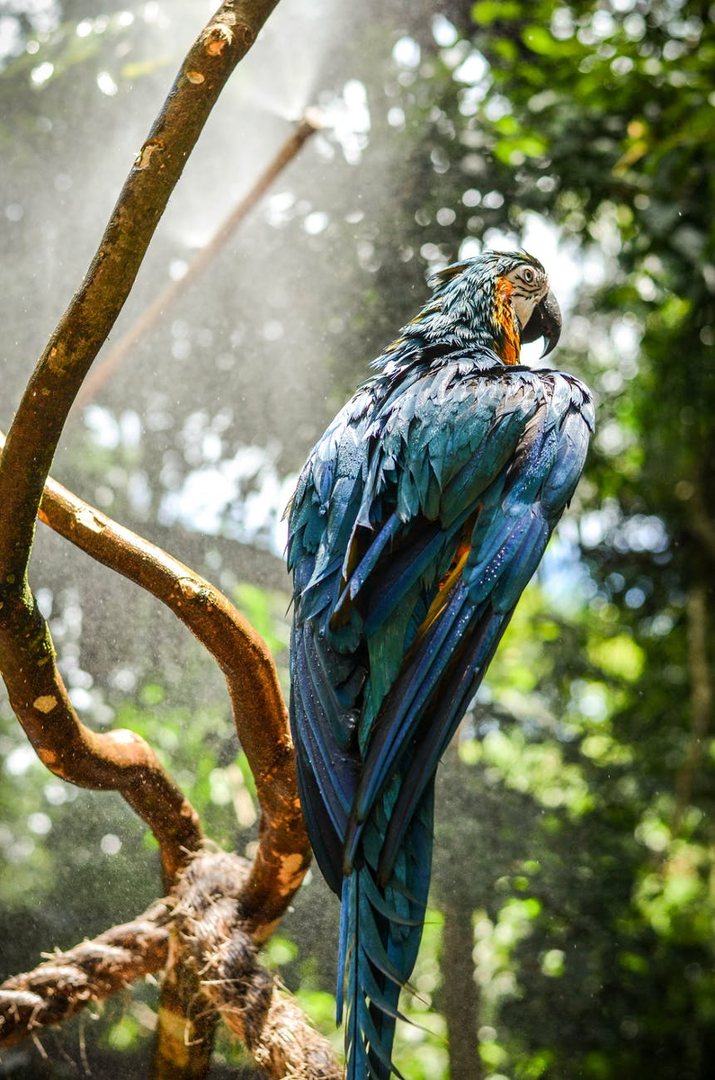 https://images.pexels.com/photos/1827212/pexels-photo-1827212.jpeg?auto=compress&cs=tinysrgb&dpr=2&h=650&w=940