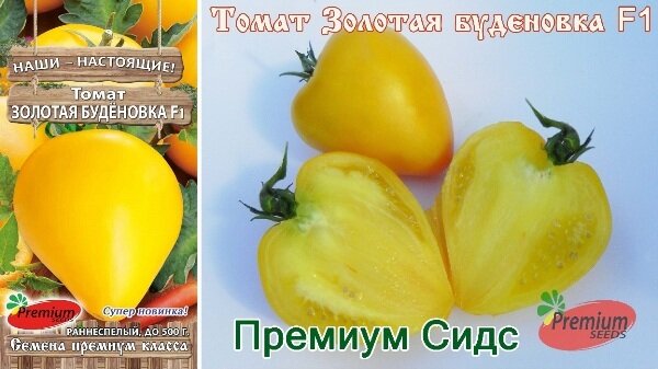 Сорт томатов буденовка отзывы фото урожайность