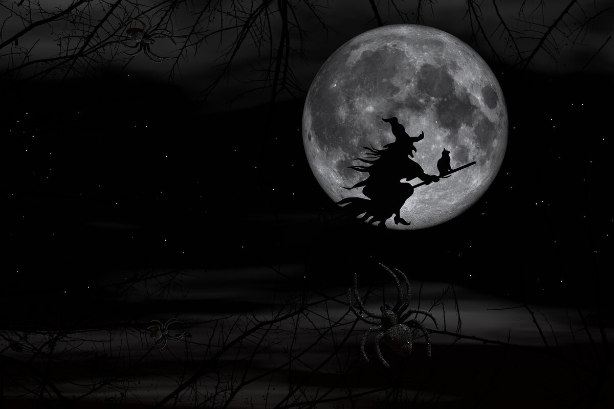Изображение Susan Cipriano с сайта Pixabay