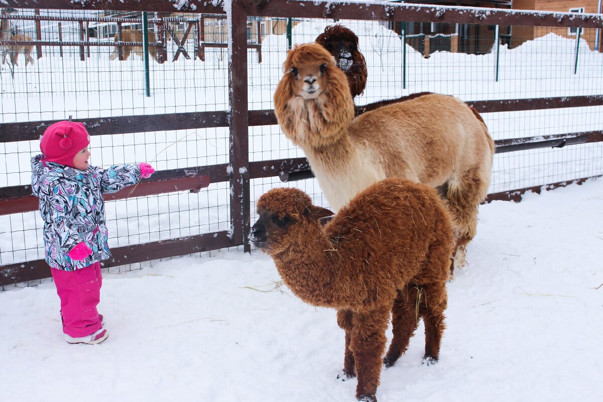 Познакомились и теперь совсем не страшно. Фотография автора