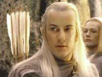  Фото предоставлено сайтом https://www.yoki.ru/ 