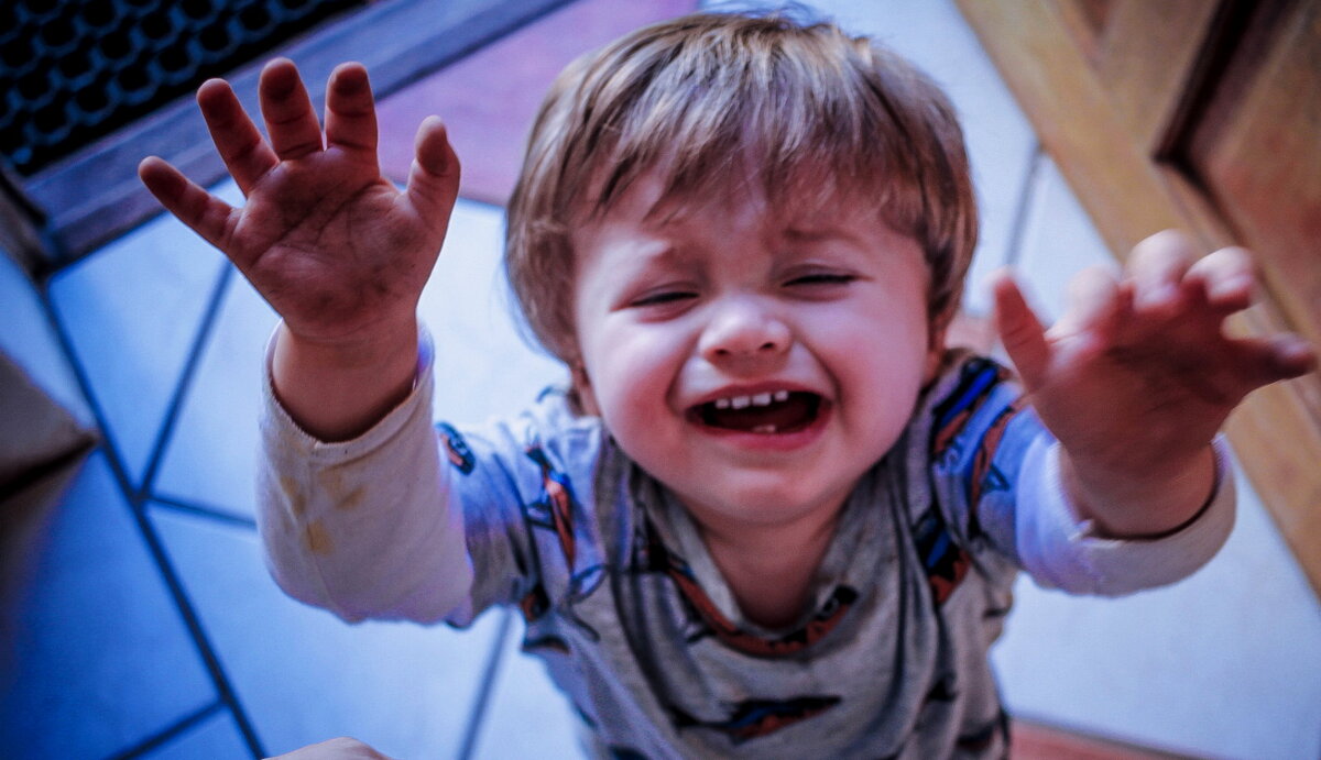 Из открытых источников.