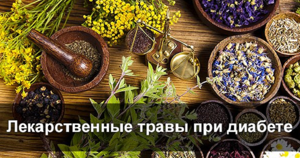 Травы лечат диабет. Трава от сахарного диабета. сбор трав для диабетиков. травяной сбор от диабета. травяной сбор при сахарном диабете 2 типа.