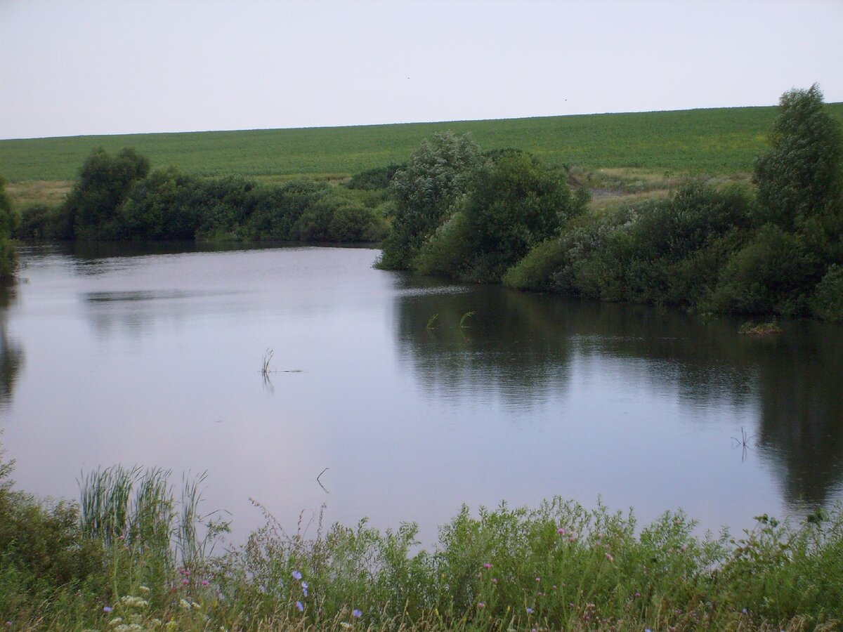 Саратов Карамяновский пруд