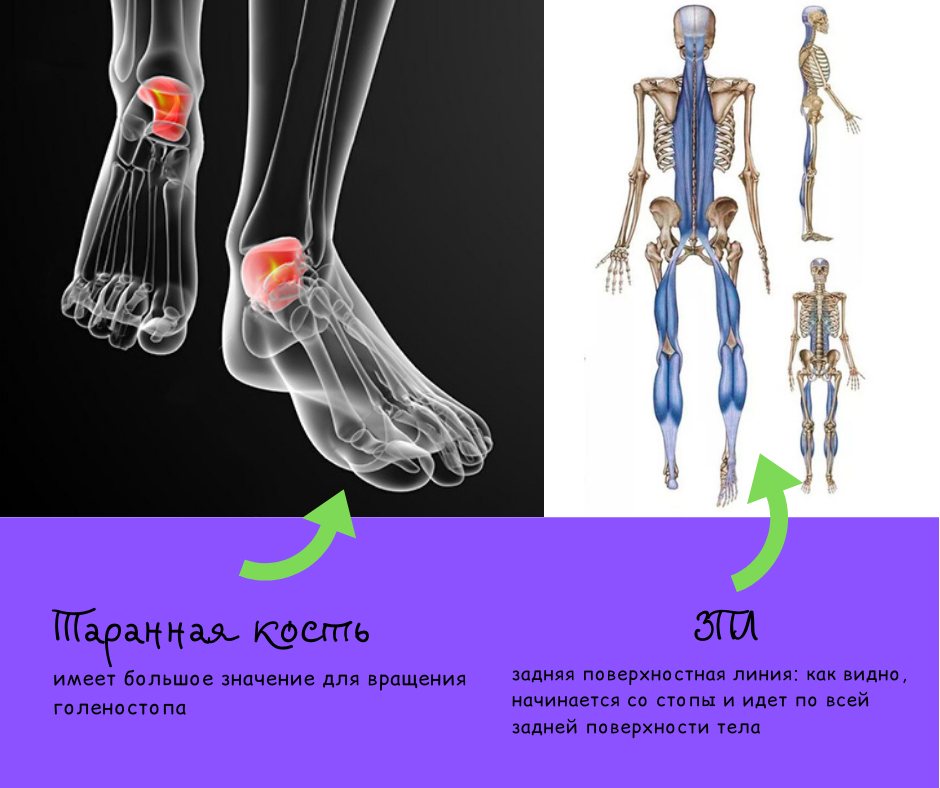 На это фото я ссылаюсь в тексте дважды