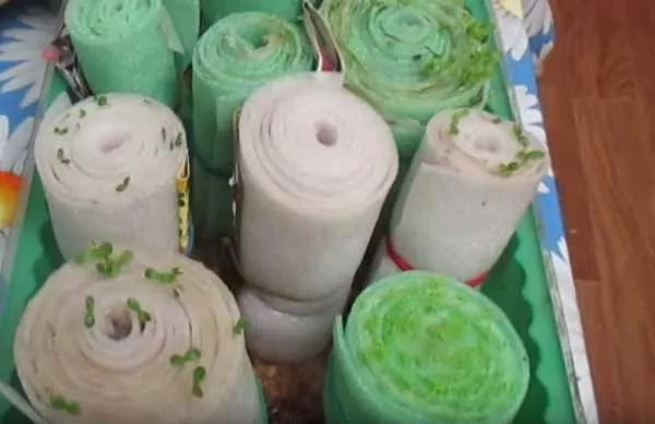 фото из Яндекс, картинки