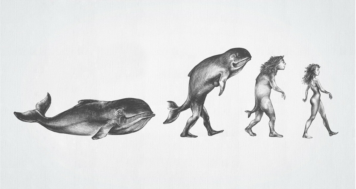 Видимо это было как-то так....