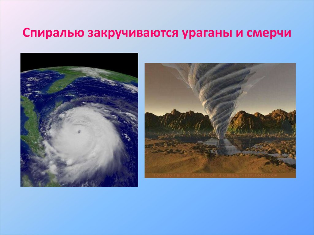 Источник яндекс картинки 