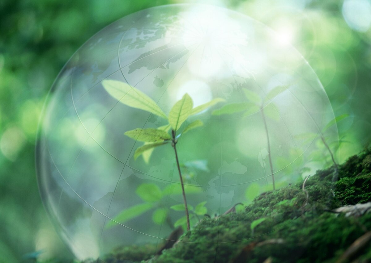 Фотография с сервиса Яндекс.Картинки