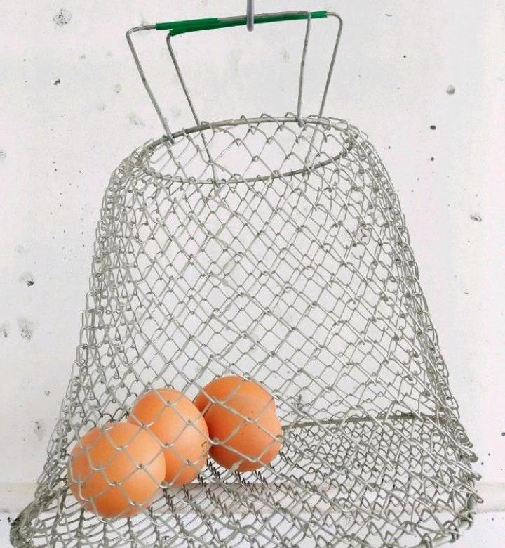 Сетка для яиц (фото с сайта Юла)