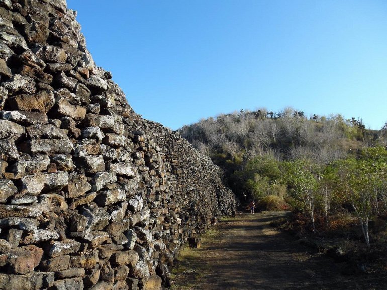 яндекс.картинки