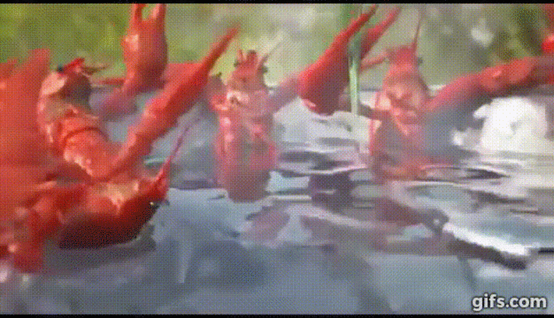источник  gifs.com