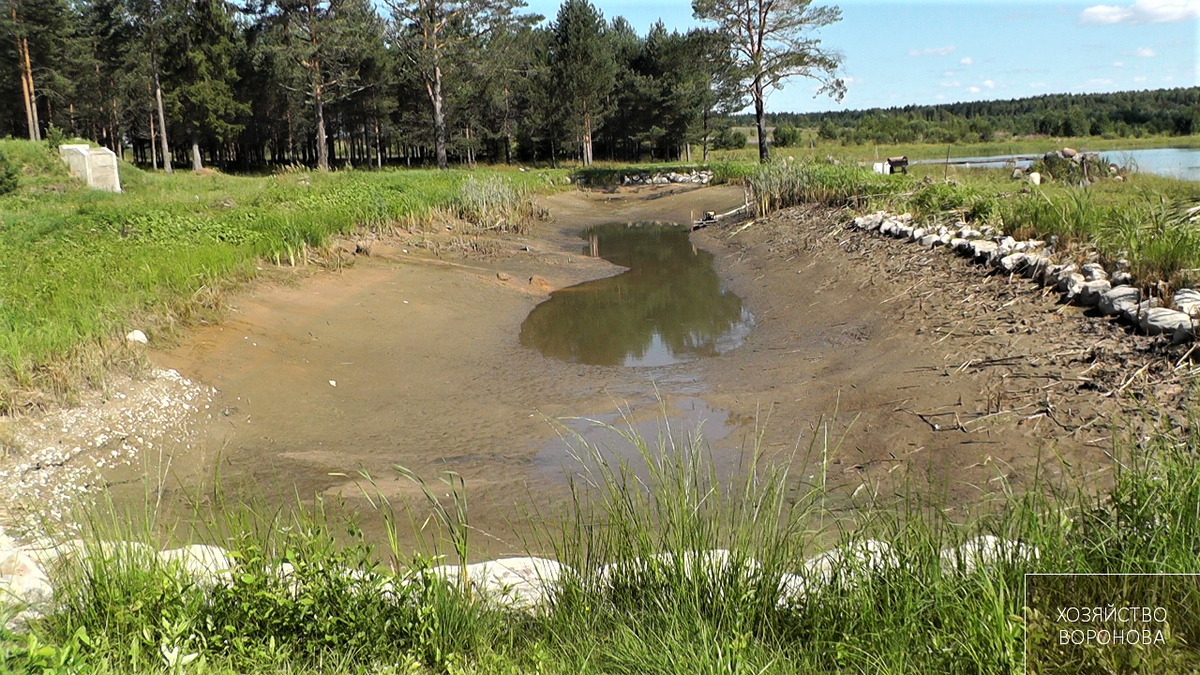 Ложа водоема. Хозяйство Воронова пруд. Осушение водоемов. Летование прудов. Осушение дна водоемов.