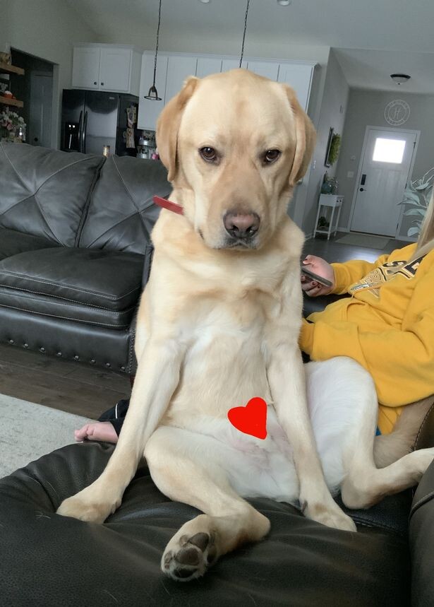 Jacquelyn Hensley / Kennedy News