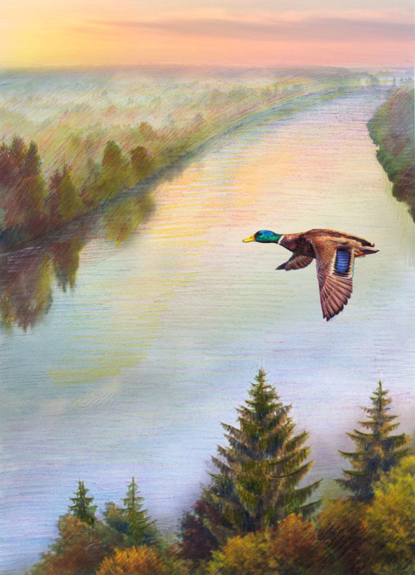 (Иллюстрация Анны Зубковой)