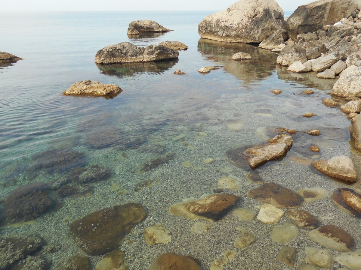 Лето в Крыму