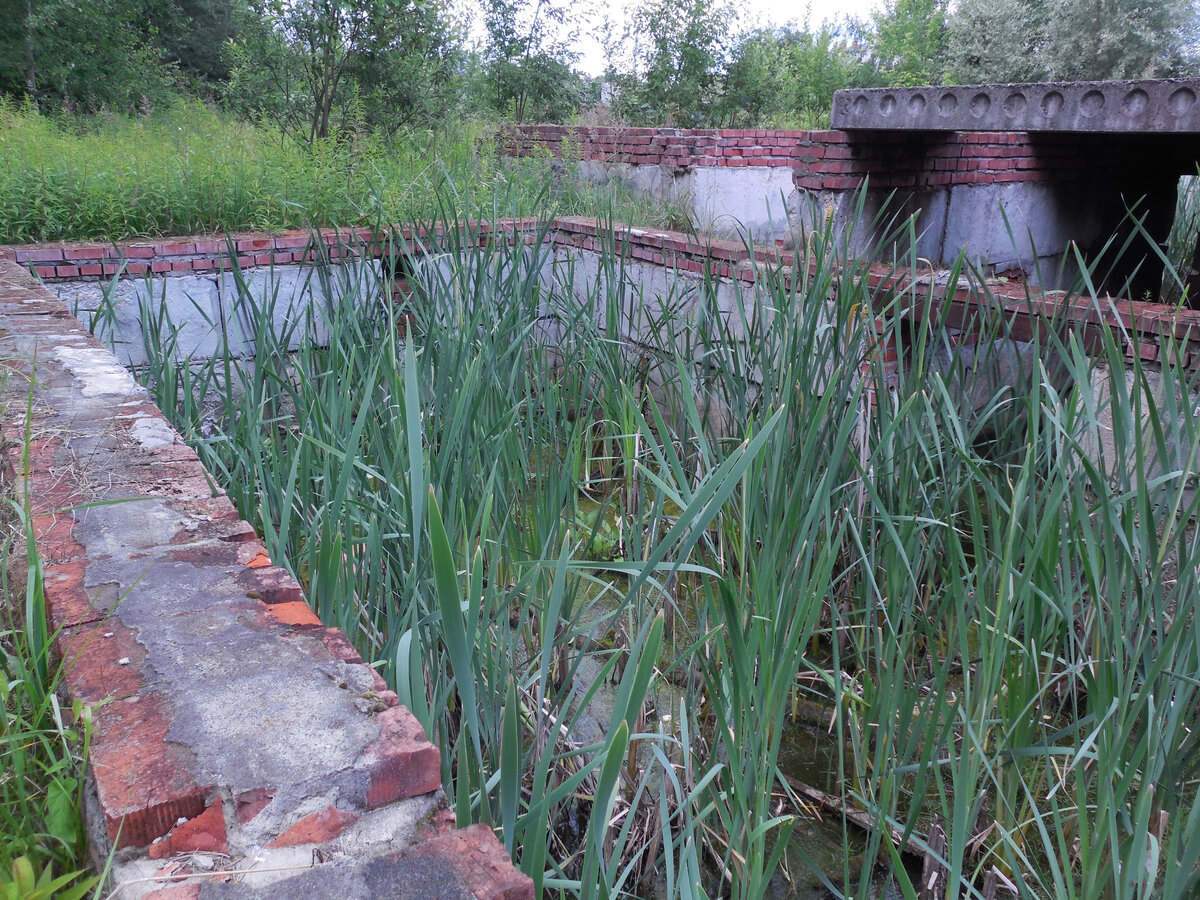 Если приглядитесь, то заметите, что ближайшая стена - дугой!