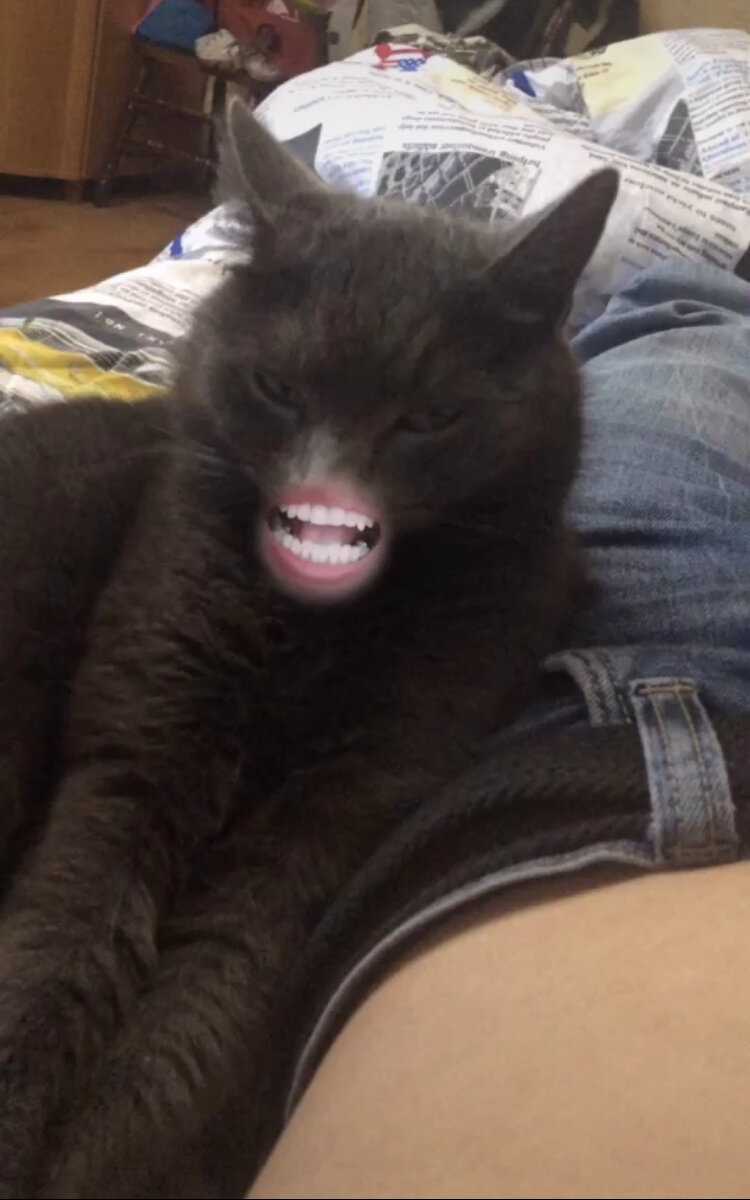 Видео на моём канале в TikTok https://vm.tiktok.com/bvyfmE/