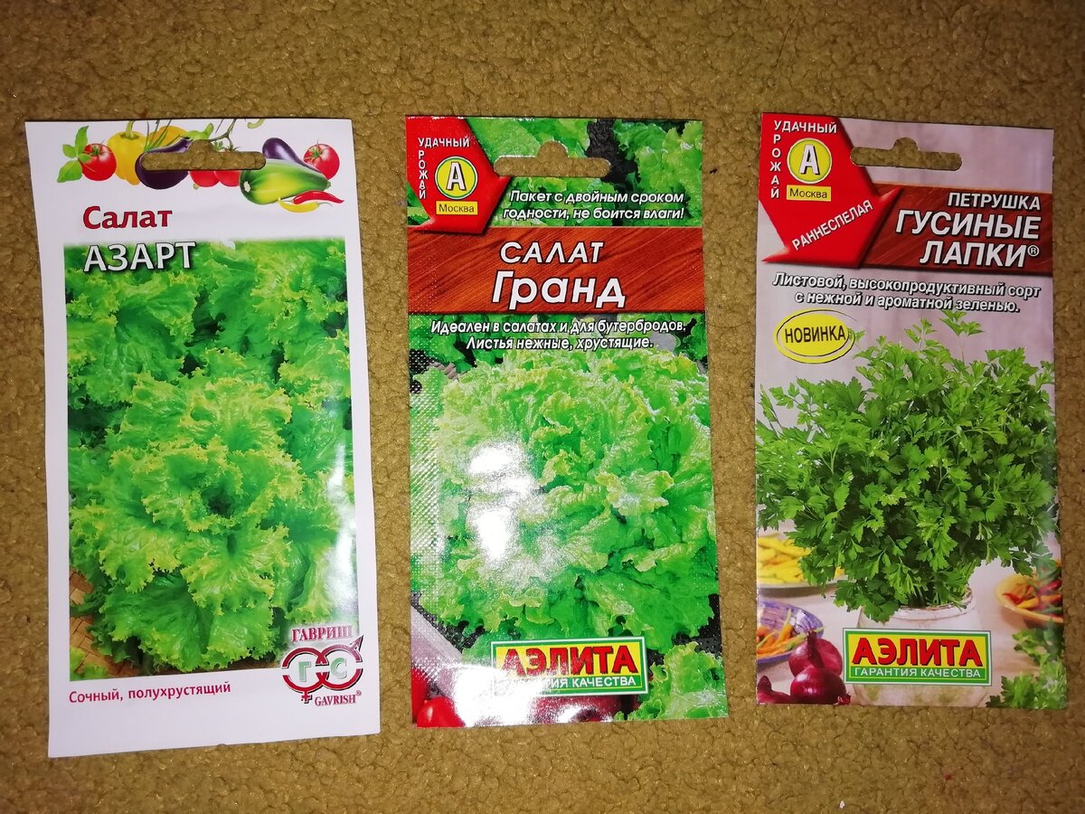 семена для дачи