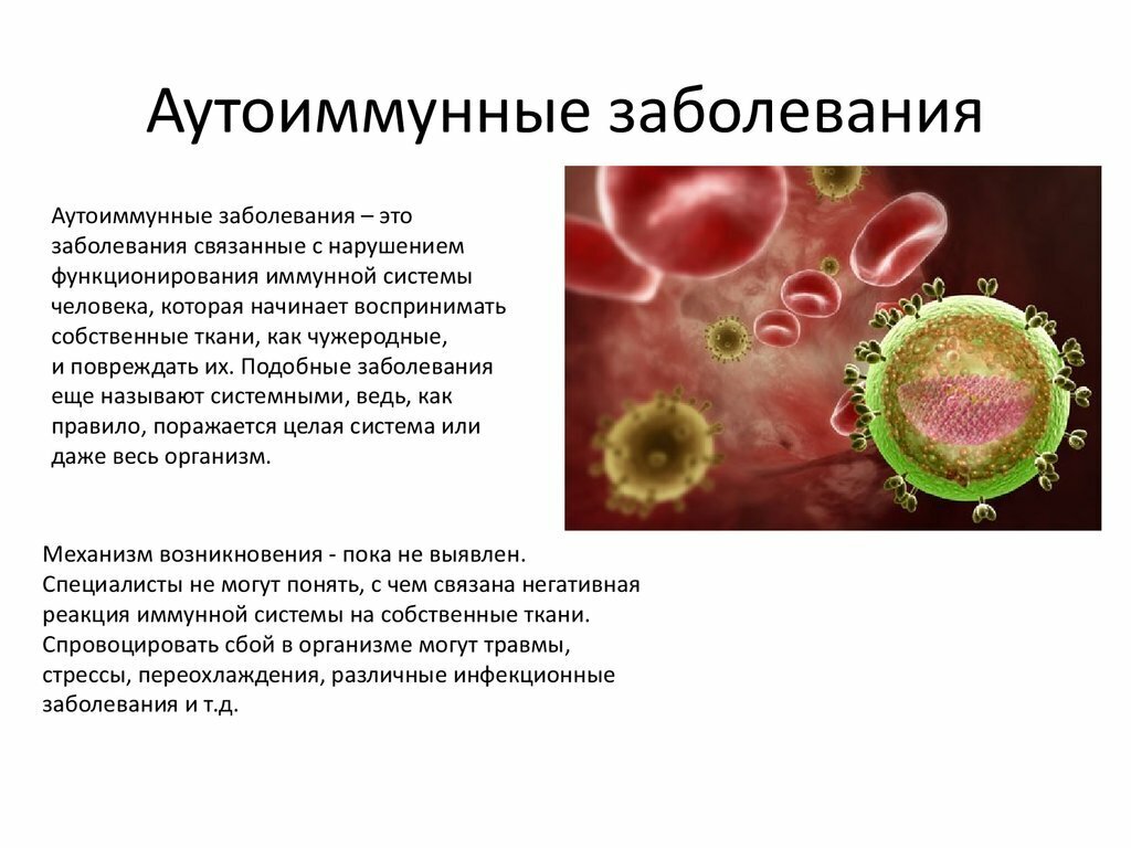 из интернета