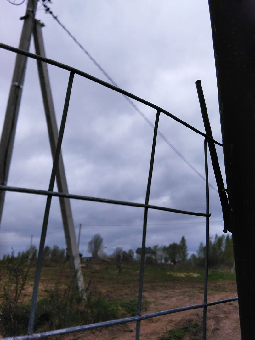 Моя сварная сетка и ее крепление к столбу. Фото прошлой поздней весны, поэтому трава зеленая) (Листайте вбок) 