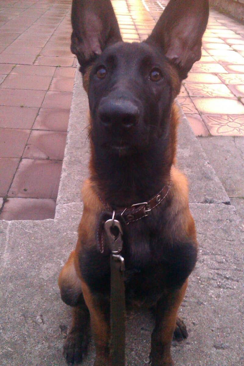 Вот такой я был малыш. Мне здесь 4 месяца. 