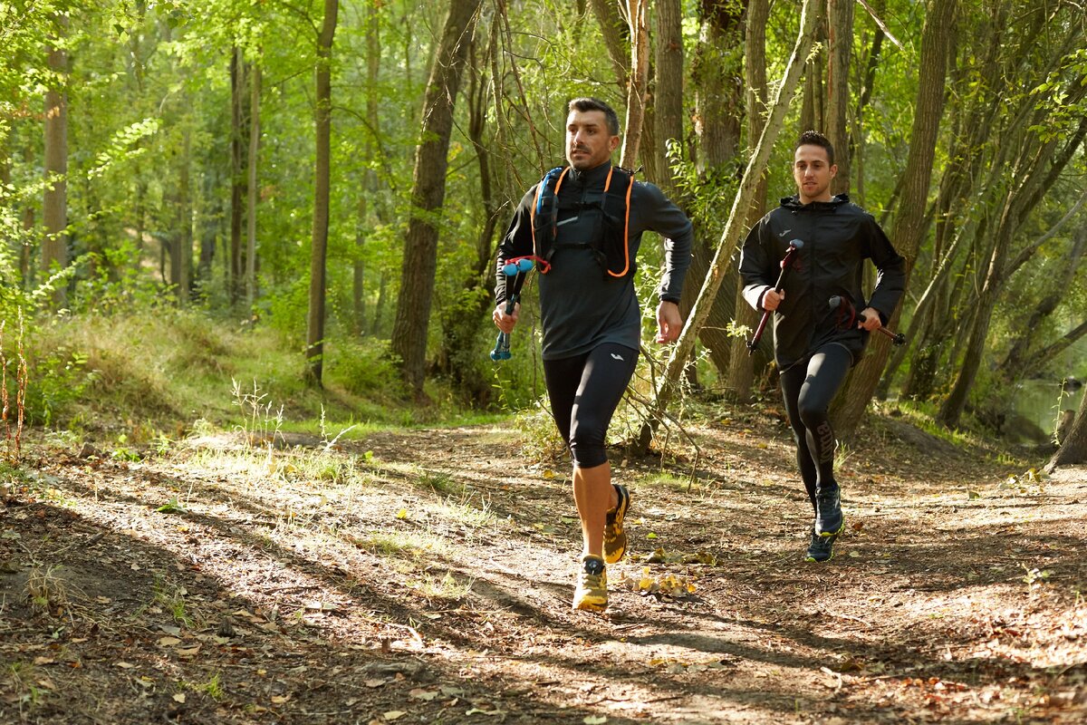Бег в горах. Трейловый бег. Трейл забег. Trail run 2024 | трейл, забег по пересеченной местности. Кроссовый бег по пересеченной местности.