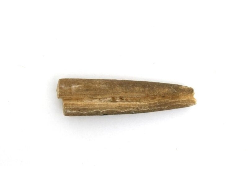 Белемнит. Материалы раскопок в г. Владимире в 1995 г. (Соборная площадь). Из собрания Государственного Владимиро-Суздальского музея-заповедника