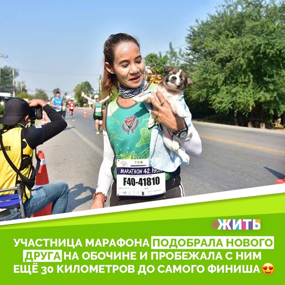 Недавно прошёл марафон, во время которого спортсмены по традиции пробежали 42 километра. Одна девушка особенно отличилась, но не тем, что заняла первое место или побила рекорд. Она принесла на финиш маленького щенка, притом, что убегала одна. Бегунья рассказала, как на 12-м километре заметила марафонцев, которые что-то оббегали☝️

Когда она приблизилась, то на обочине увидела беспомощного щеночка. Поблизости не было домов, откуда он мог сбежать, или какого-либо намёка на хозяев животного. Она решила, что щенку не безопасно оставаться на дороге и взяла его с собой. Так девушка пробежала ещё 30 километров, держа пушистого кроху у себя подмышкой☺️

Она не обязана была это делать, ведь там есть участники и зрители, а это 1000 человек, но именно у нее оказалась самая добрая душа. А вы бы смогли повторить ее подвиг?🥰

#жить #проектжить #добро #добрыедела