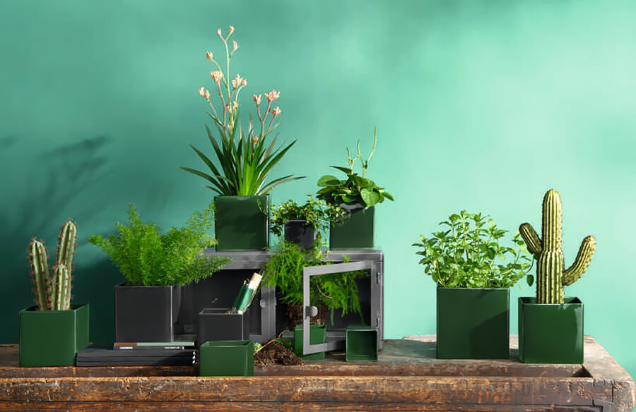 Зеленый товар. Корзина с продуктами. Полка здорового питания в супермаркете. Магазин продуктов зеленый. Магазины в грине.