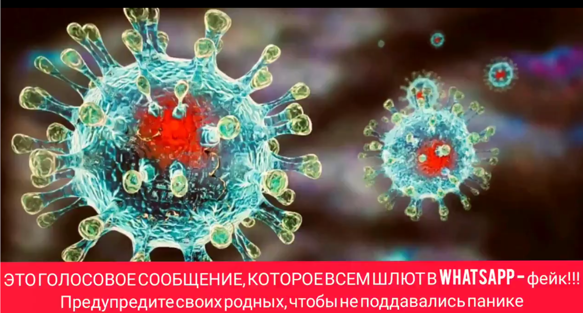 Предупреждение, что рассылалось сознательными гражданами в соц.сетях после публикации скандальной аудиозаписи.