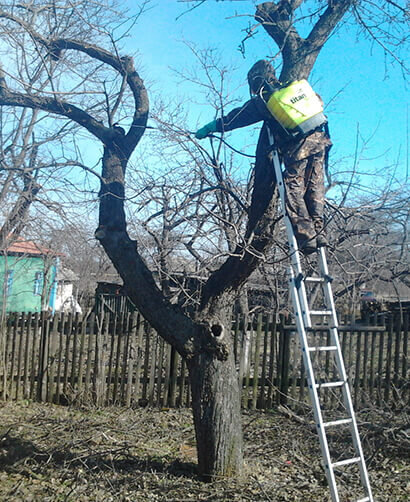 ИСТОЧНИК - ecomir.in.ua