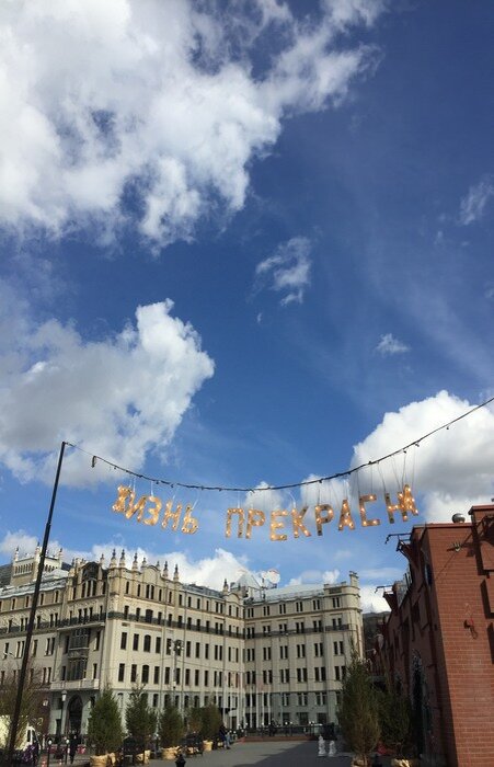 Жизнь прекрасна!  Фото у метро Площадь Революции А.Троилиной