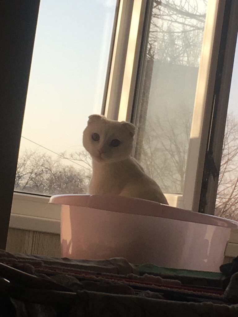 «Кексик, скорей всего я буду дома до сентября с тобой»