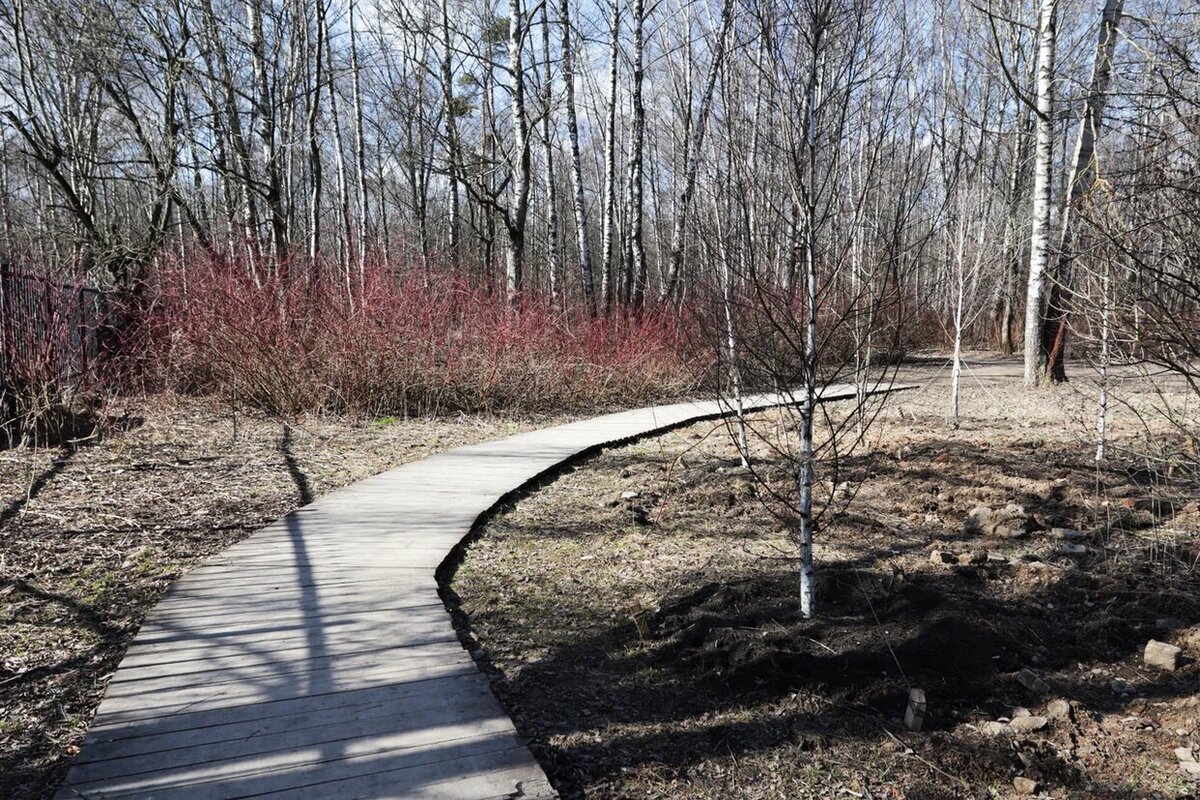 Фото из собственного архива