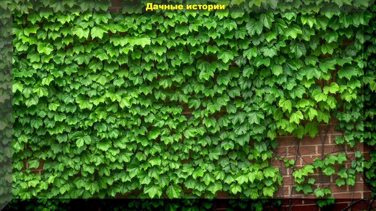 https://vk.com/photo-159774511_457243657