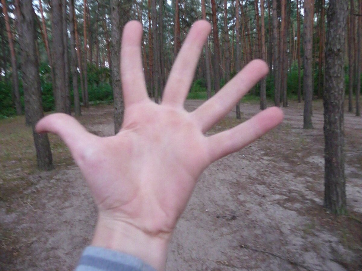 Из личного архива