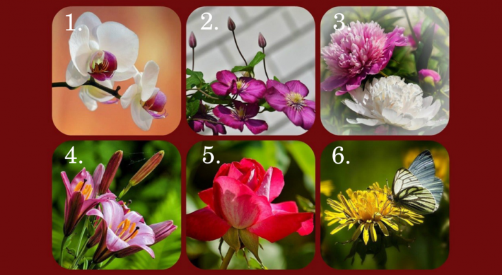 Фотоматериал: puzzleit.ru pixabay.com