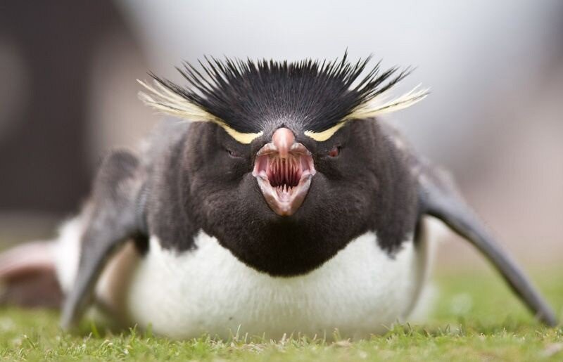 Когда зовёшь мужа с рыбалки уже несколько часов, а он всё с дружками так и не возвращается.