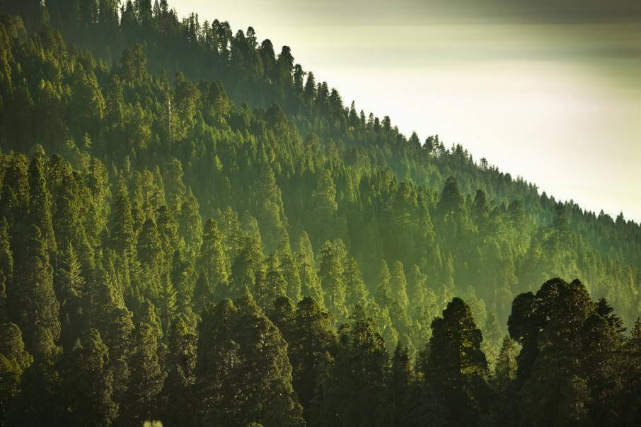 Фото: iStock