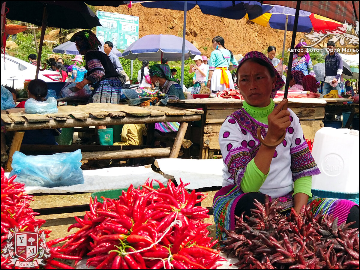 Яркие женщины вьетнамских рынков. Как они сияют с детства до преклонного возраста [Мои 15 фото]