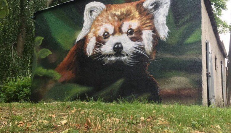 ФОТО: GZELSTUDIO / INSTAGRAM