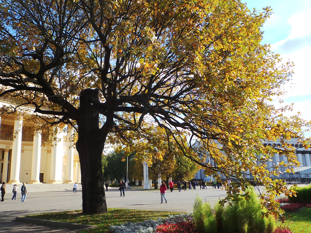 ВДНХ, осень 2019 года  Фото автора