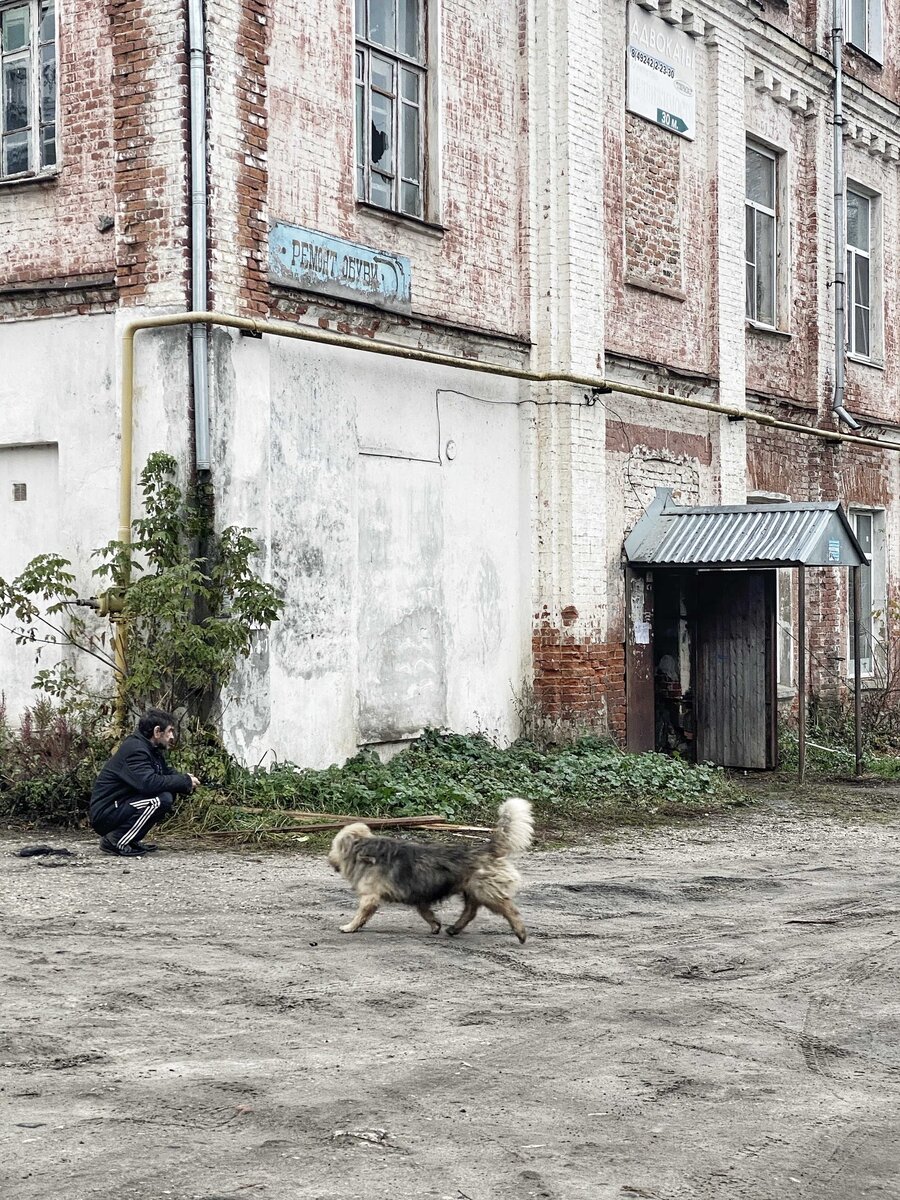 Собинка - городок, который не смог. Хорошо, что я был только проездом. |  Нетуристический путеводитель | Дзен