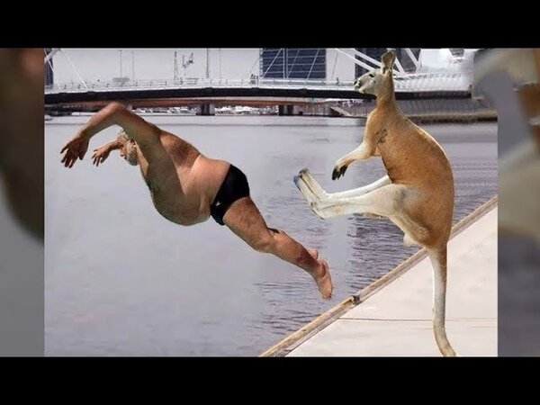 Картинка для обложки