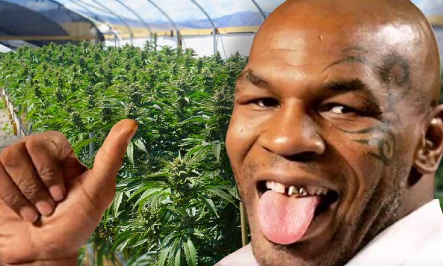 Майк Тайсон 